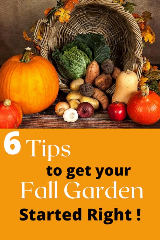 Vegetables for a fall garden